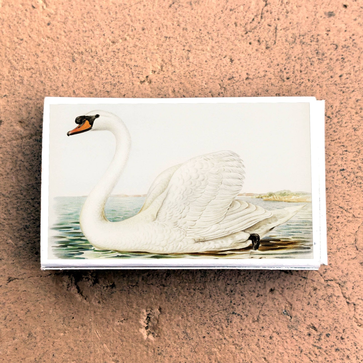 Swan Matchbox