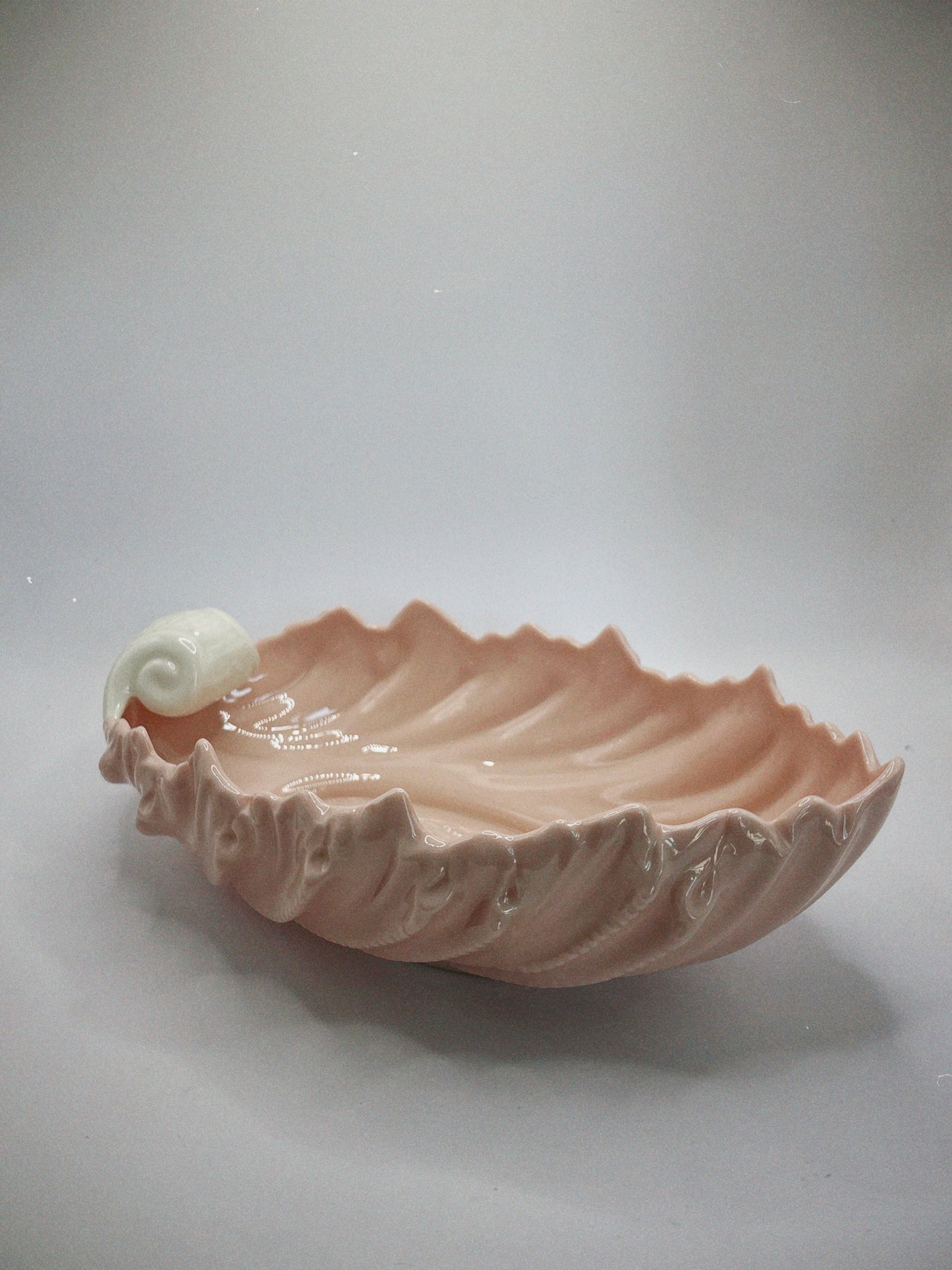 Pink Shell Shaped Dish