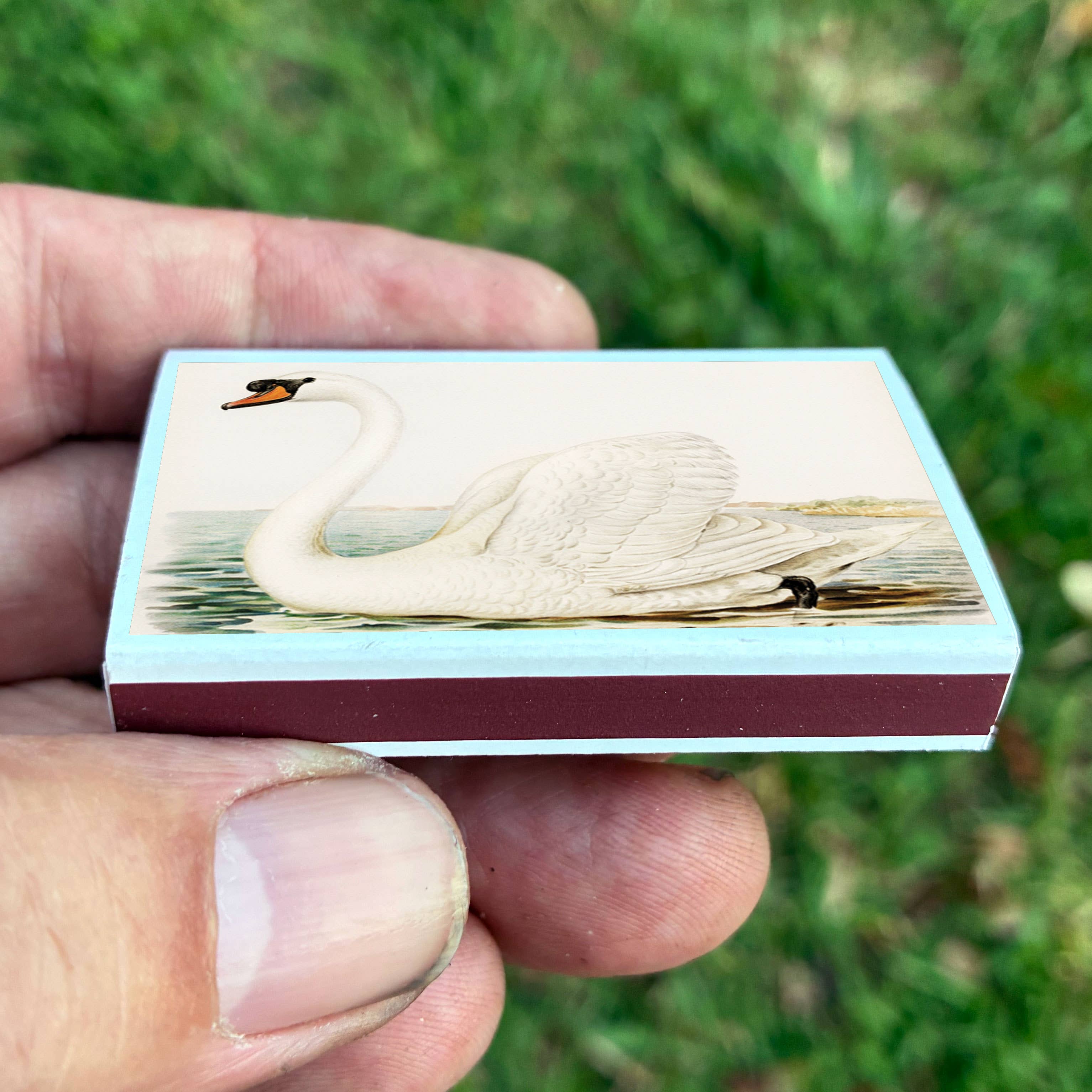 Swan Matchbox