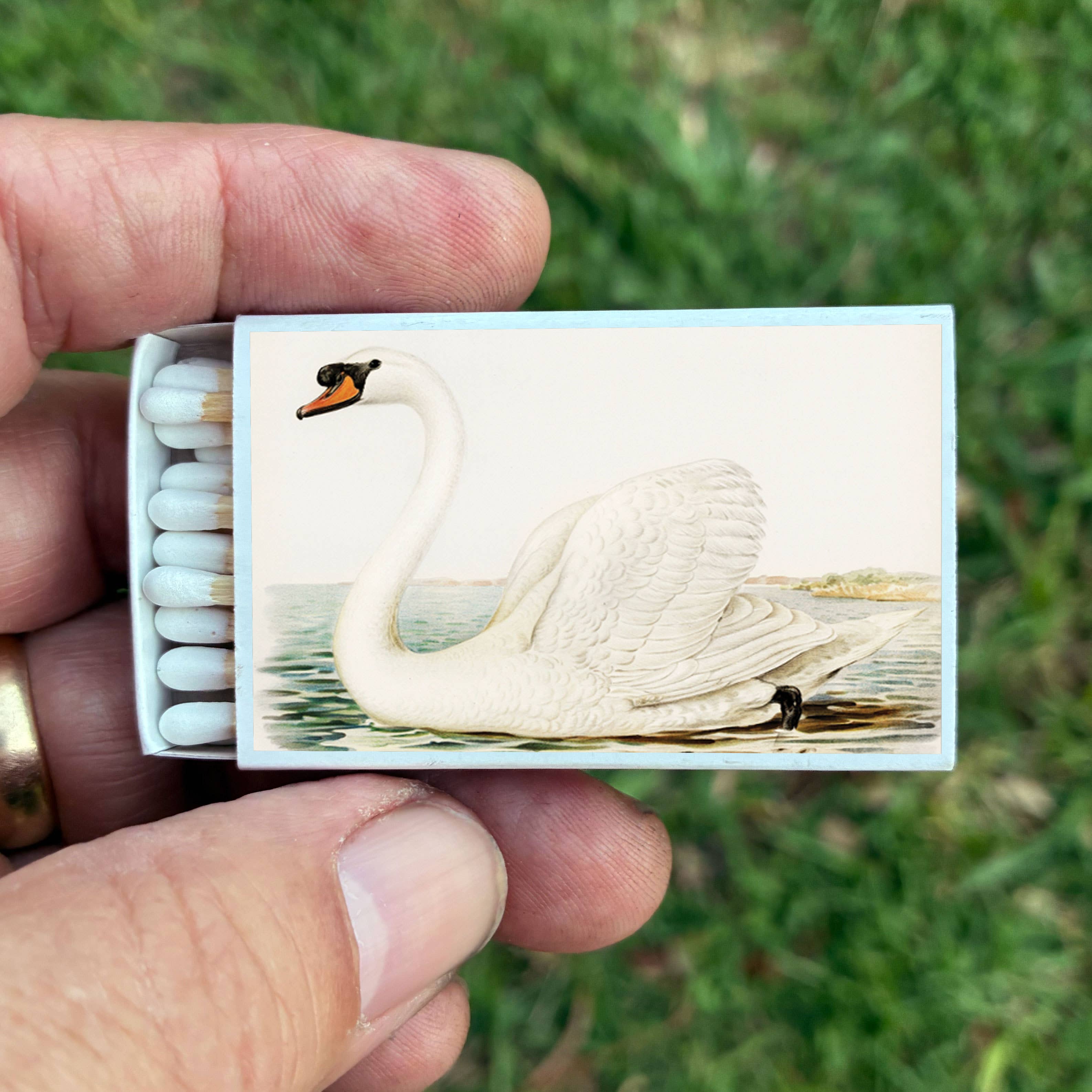 Swan Matchbox
