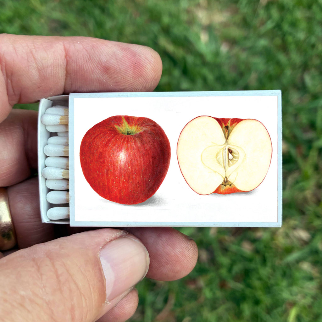 Red Apple Matchbox