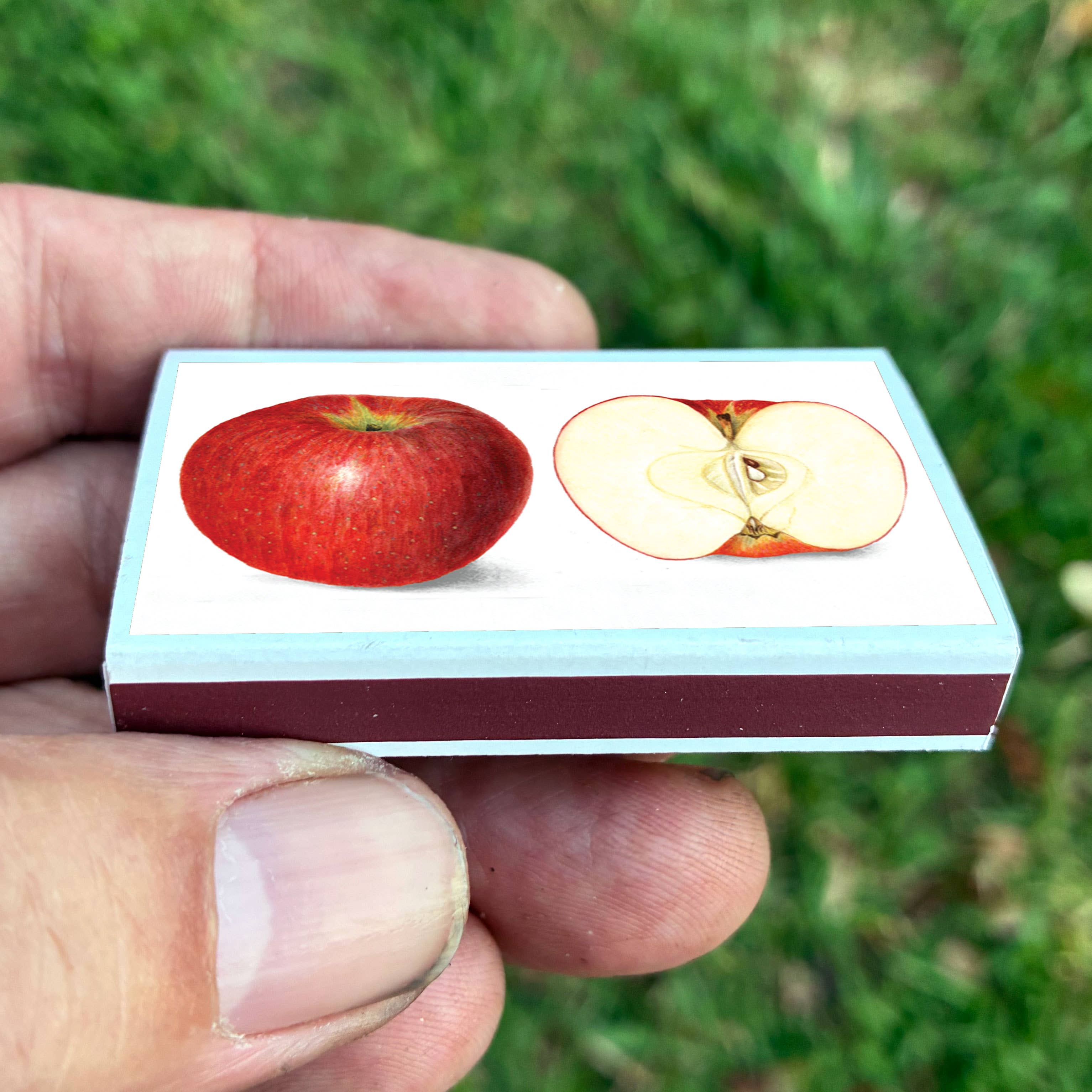 Red Apple Matchbox
