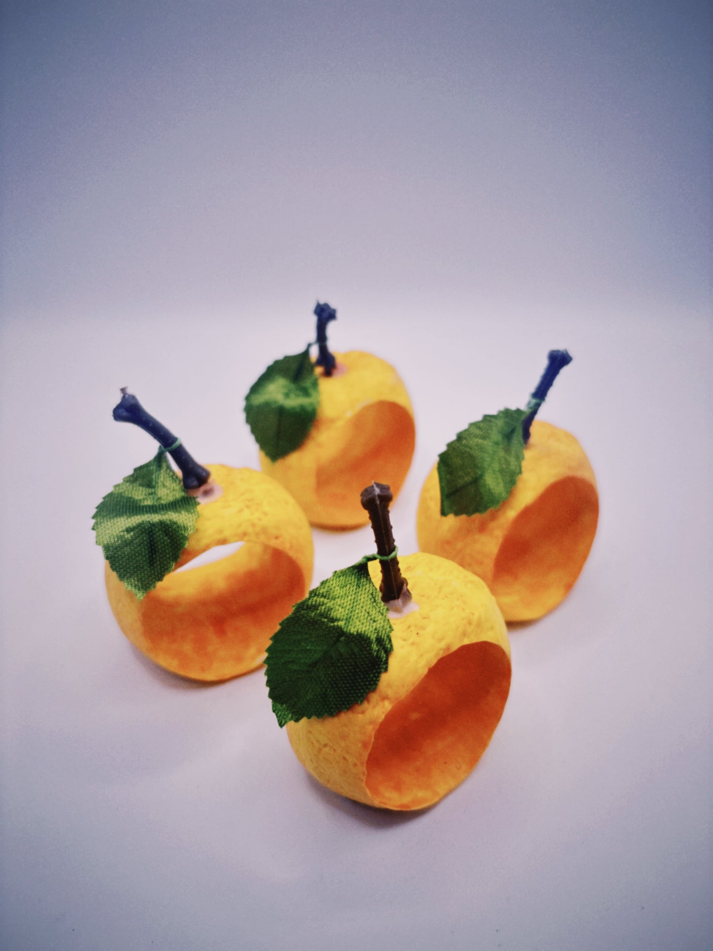 Citrus Napkin Rings (Set of 4)