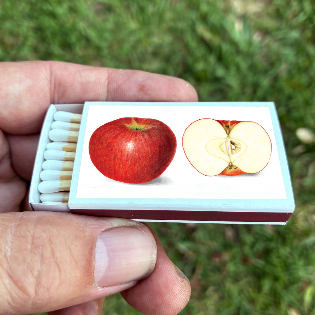 Red Apple Matchbox