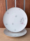 Thomas Germany Starburst Dinner Plates