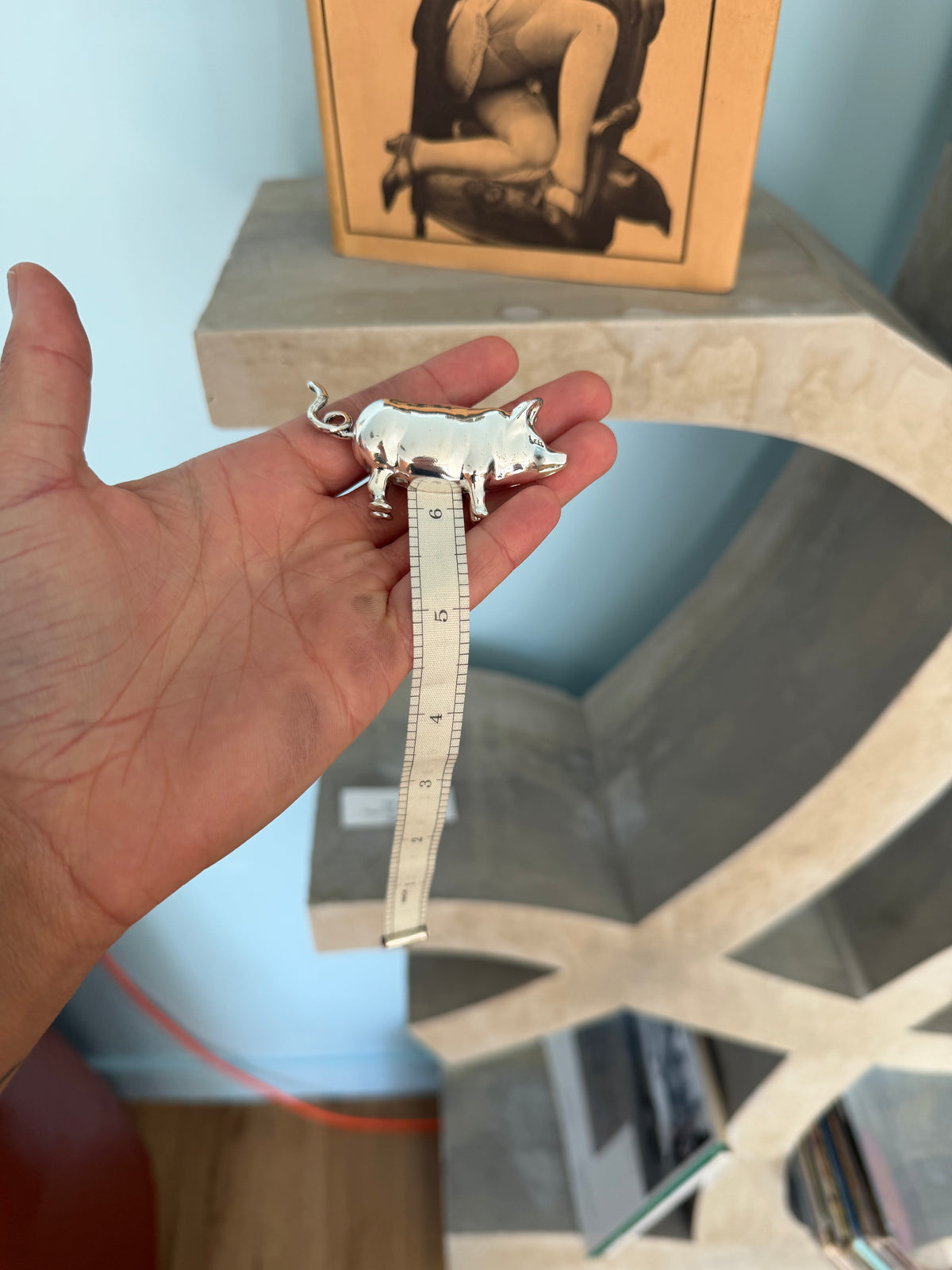 Pig Measuring Tape