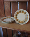 Daisy Plates (set of 4)