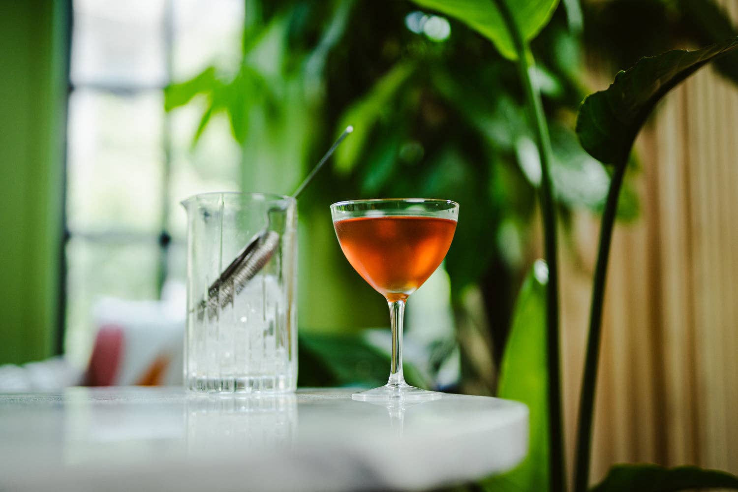 6.5 oz. Coupetini Glass