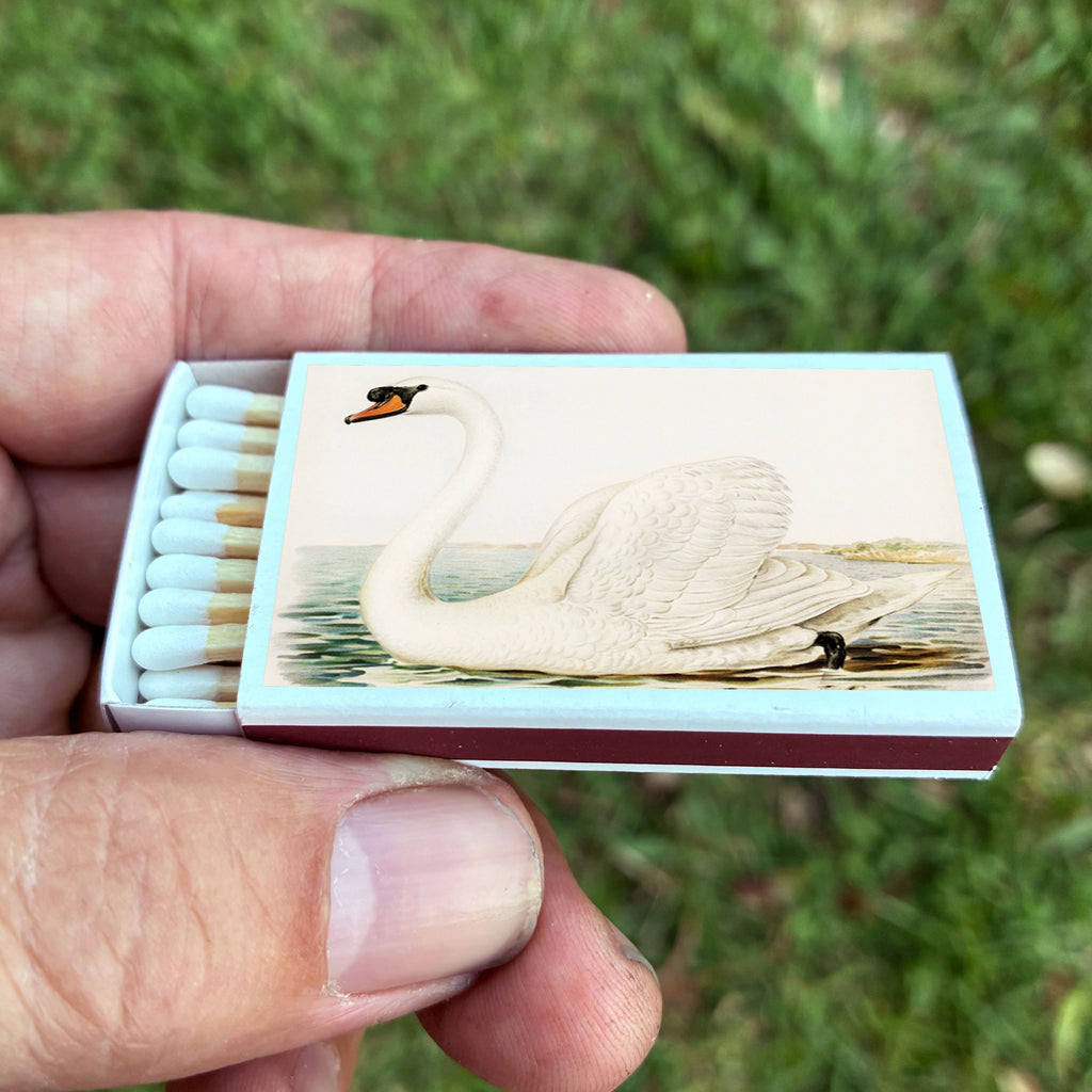 Swan Matchbox