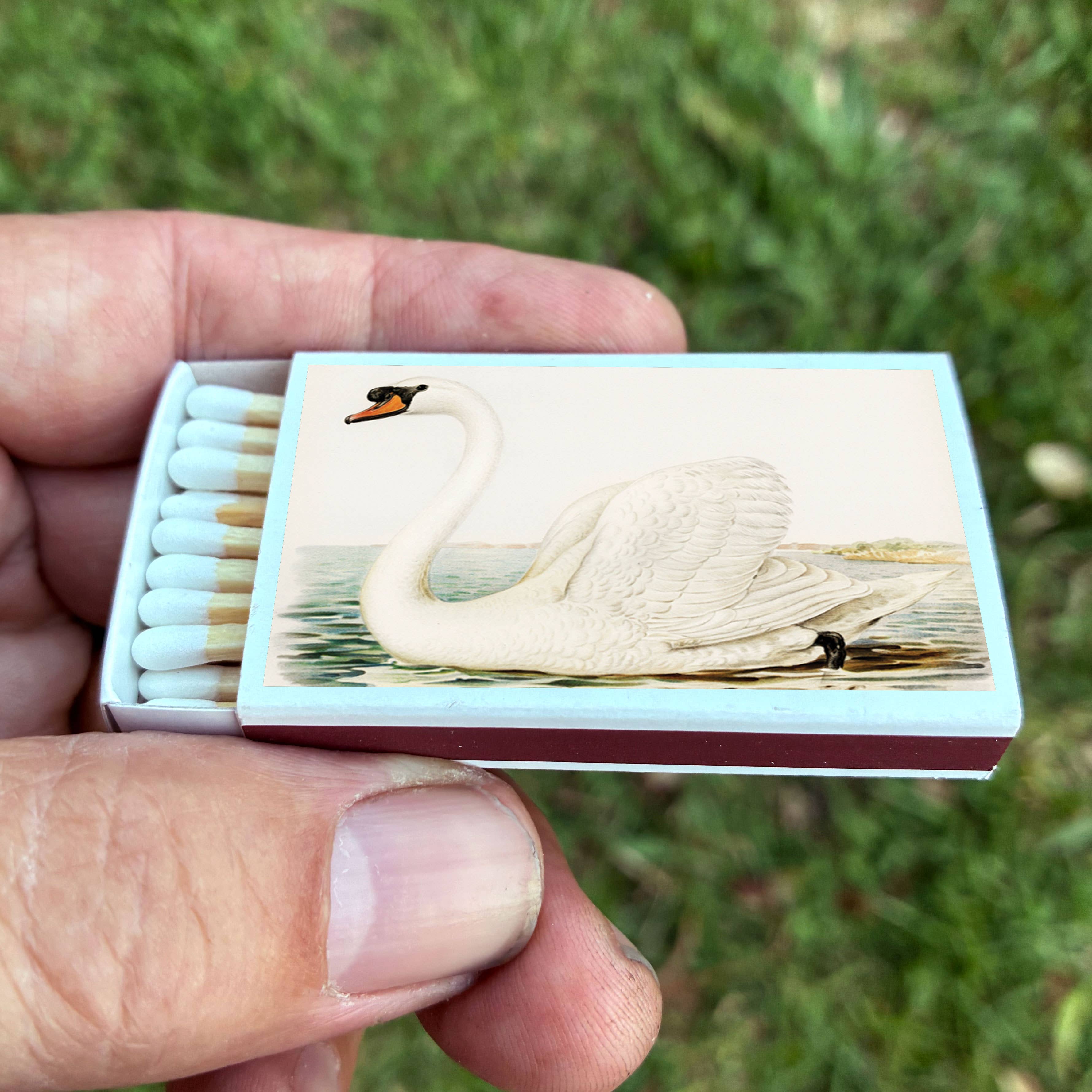 Swan Matchbox